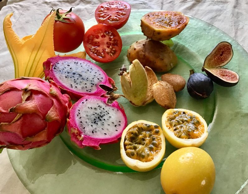 seasonal fuit tiempo de cosechar